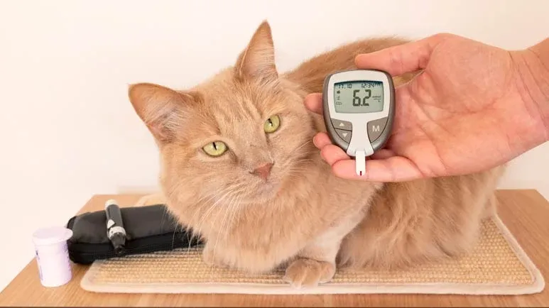 Causes Your Pet's Cells to Starve to Death, Even While Surrounded by Nutrients
