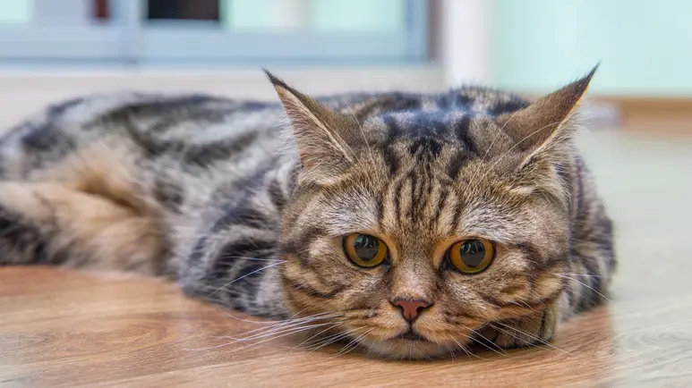 25 Red Flags That Spell 'Pain!'