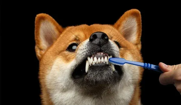 ignoring those teeth and nails
