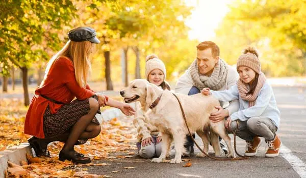 dropping the ball when it comes to socializing your dog