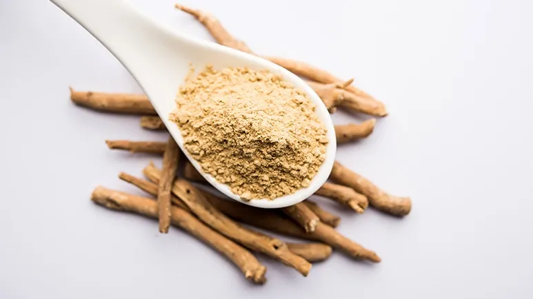 The Herb That Helps Pets Age with Grace