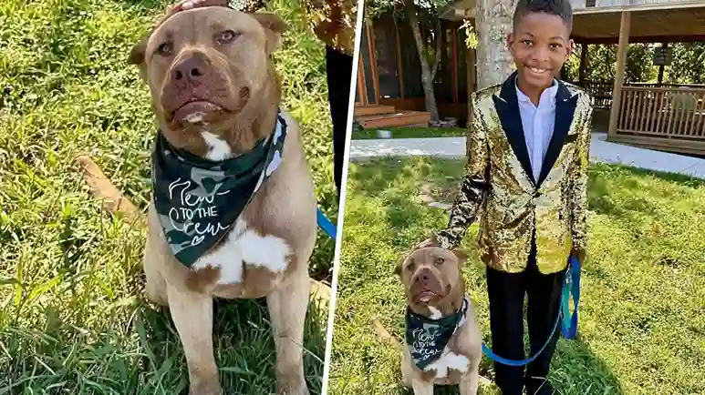 10-Year-Old Boy Wears Suit for Dog Adoption