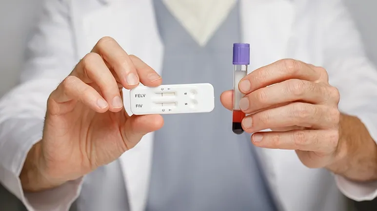 This Used To Be a Death Sentence, but No More — So Long as It's Caught Early