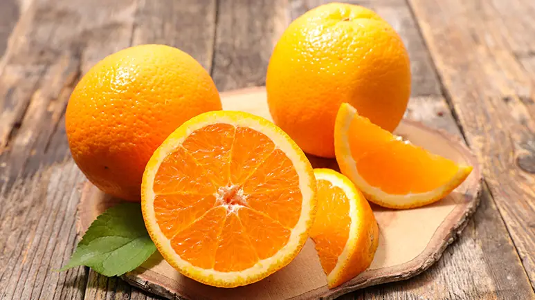 The Citrus Question Every Dog Parent Asks