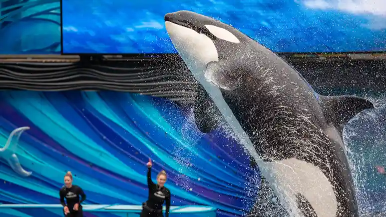 The Dark, Hidden Truths of These Popular Shows