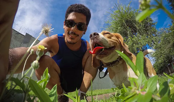 dog understands human