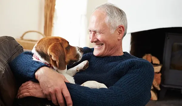 human dog experiences