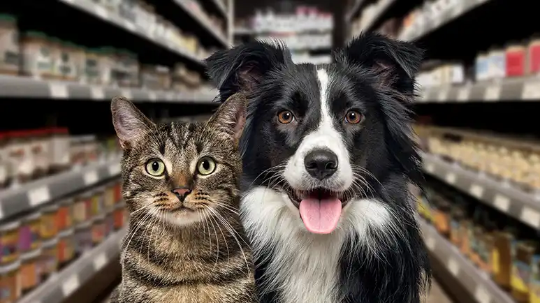 This Mistake Could Make Your Pet a Target for Cancer