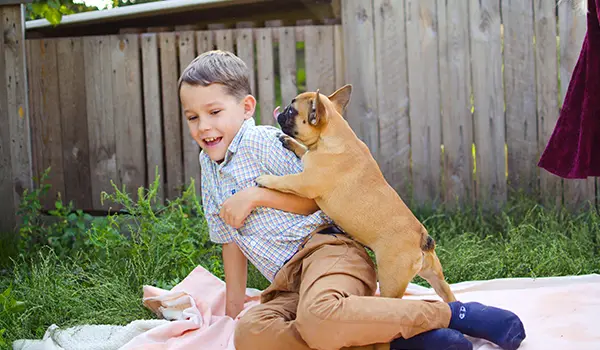 sweet frenchies