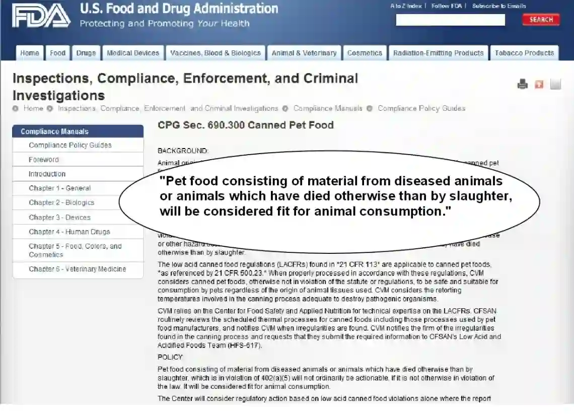 Should You Feed Your Pet Table Scraps? You May Be Surprised