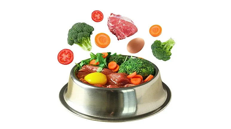 The Ancient Secret Fueling Modern Pet Wellness