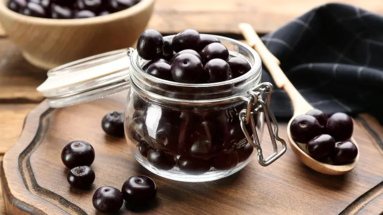 Acai Berry: The Rainforest Berry That May Help Pets Live Longer