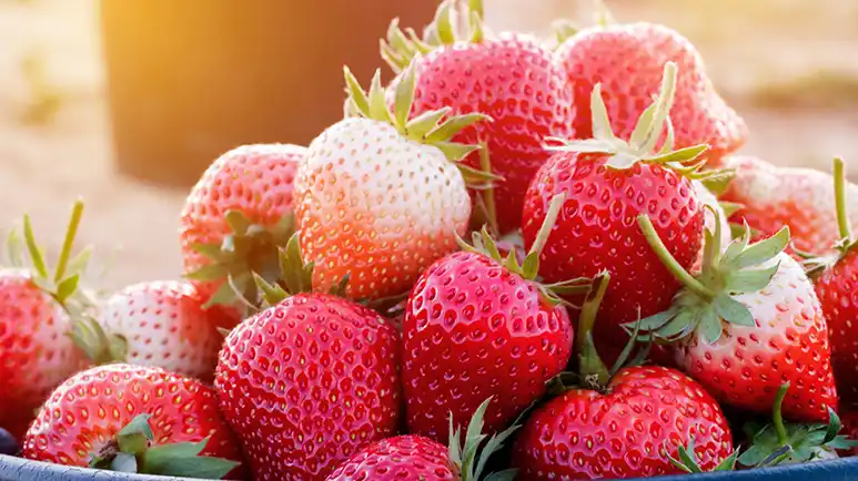 Strawberries: A Berry Sweet Way to Spark Joy