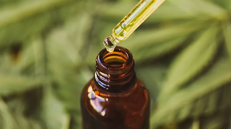 The Hot CBD Trend for Pets — Risky or a Godsend?