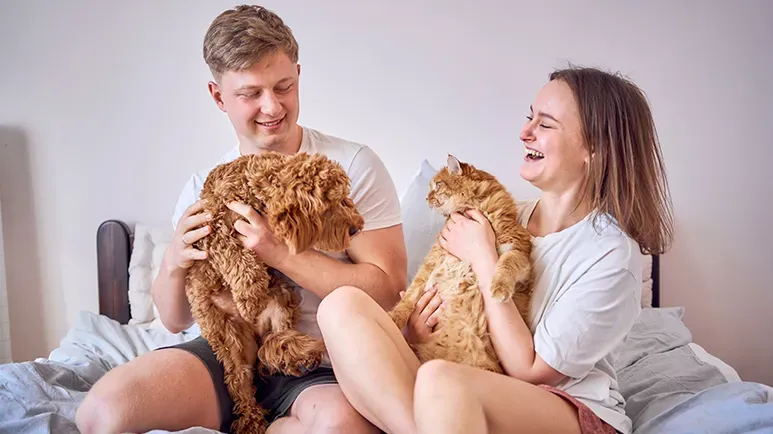 You'll Bond Incredibly Well with Your Pet When You Open Up to This