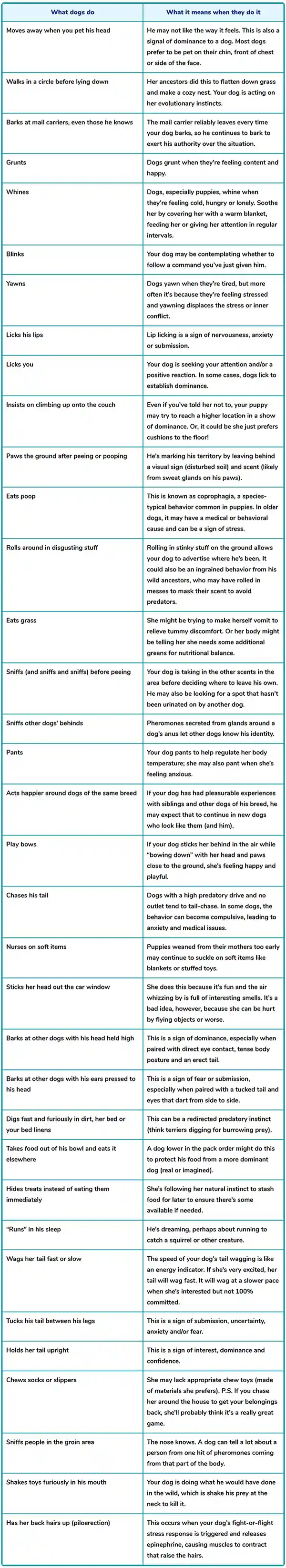 dog-to-human language translator