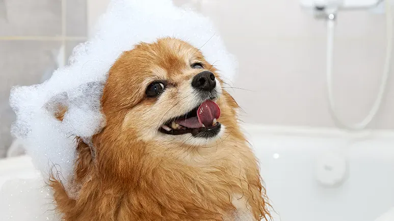 The Cold Weather Grooming Tips You Wish You Knew Sooner