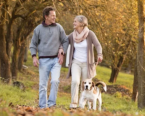 A dog can keep you fit