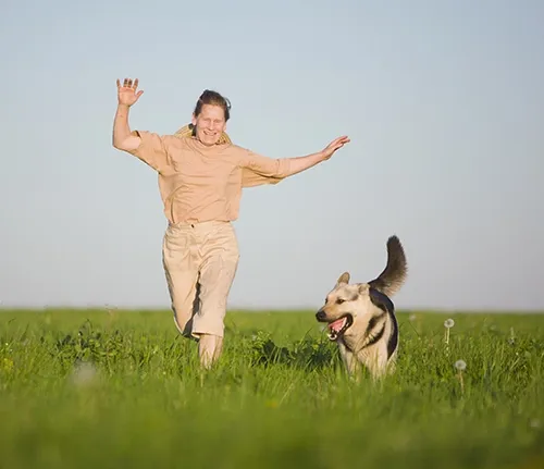 A dog gets you up and going every day