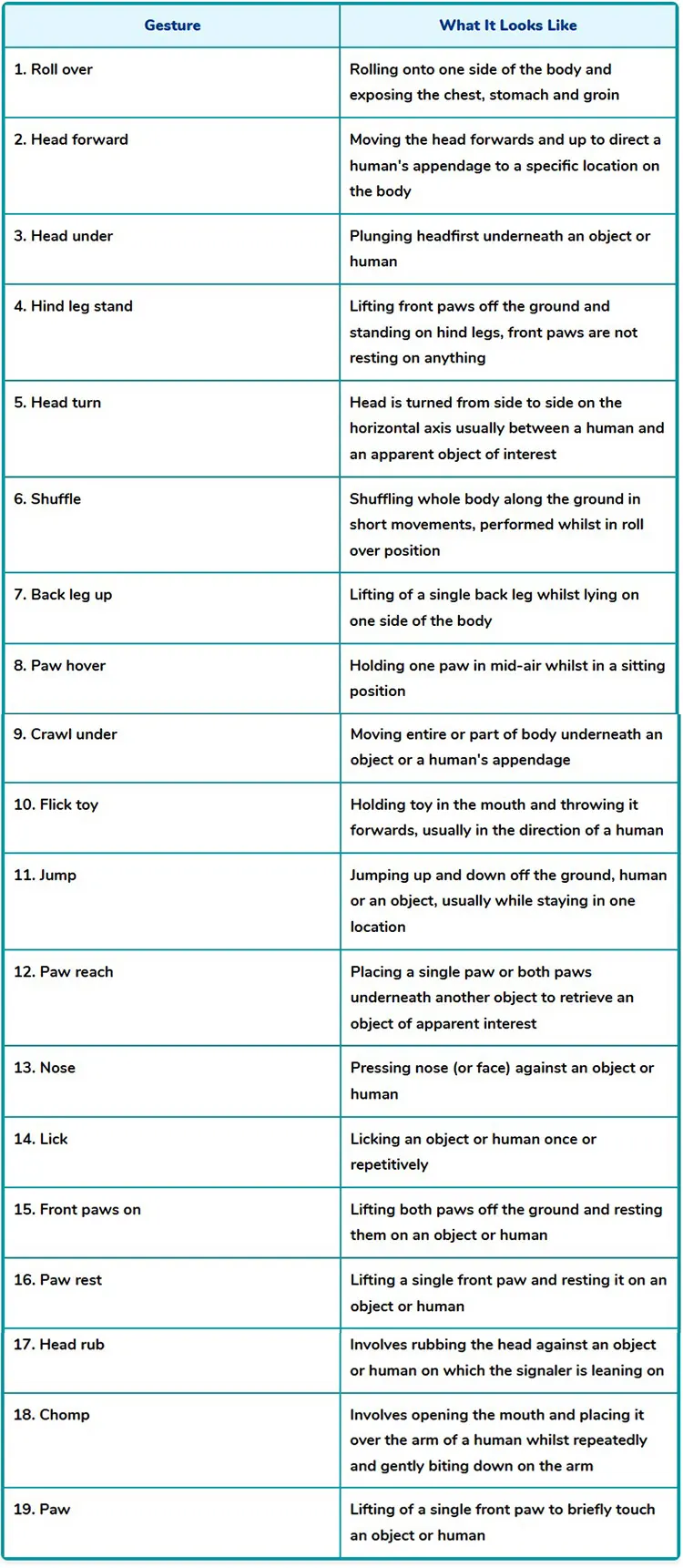 dog 19 gestures