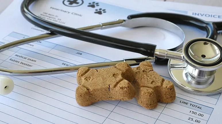 Don't Read This Unless You Want to Save Serious Money on Vet Bills