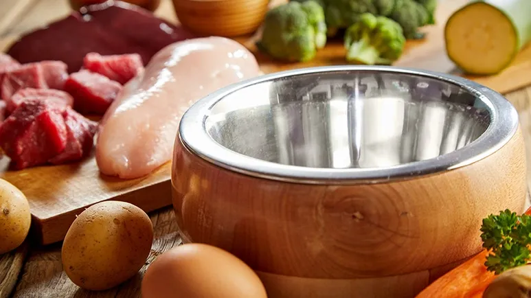 Eye-Opening Study Confirms the Healthiest Pet Food