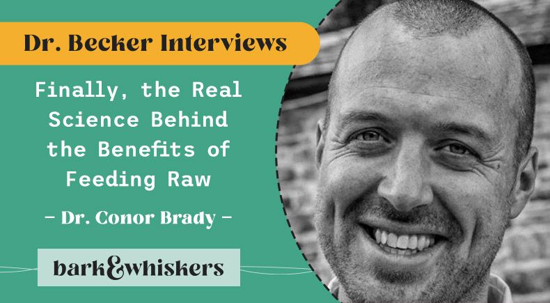 The Scientific Benefits Of Feeding Raw All In One Place the-scientific-benefits-of-feeding-raw-all-in-one-place