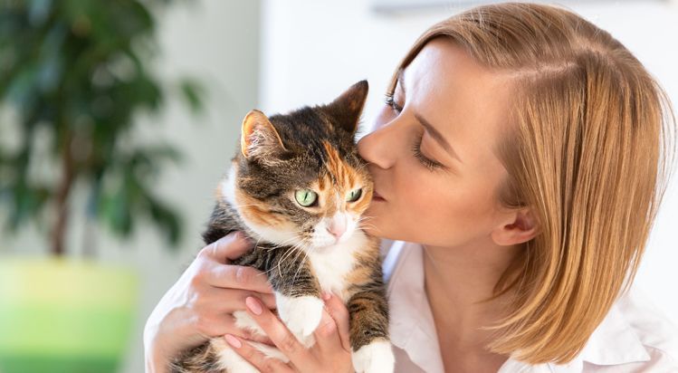 how to make your cat feel loved