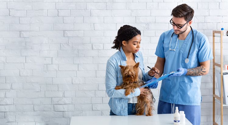 how to keep pet calm at the vet