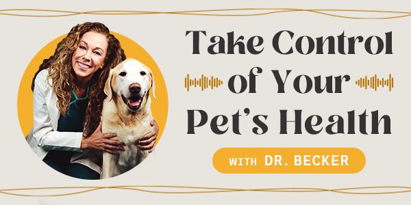 Podcast banner
