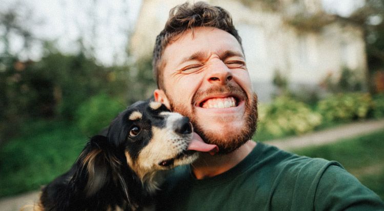 dog instincts