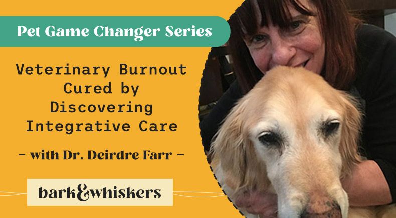 Dr. Deirdre Farr veterinary burnout