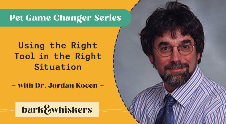 Dr. Jordan Kocen integrative modalities