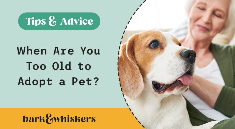 pets for seniors