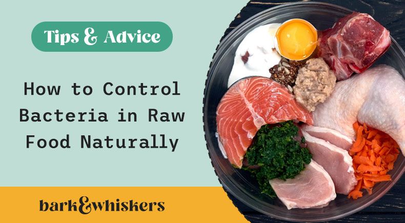 how to control bacteria in raw food naturally