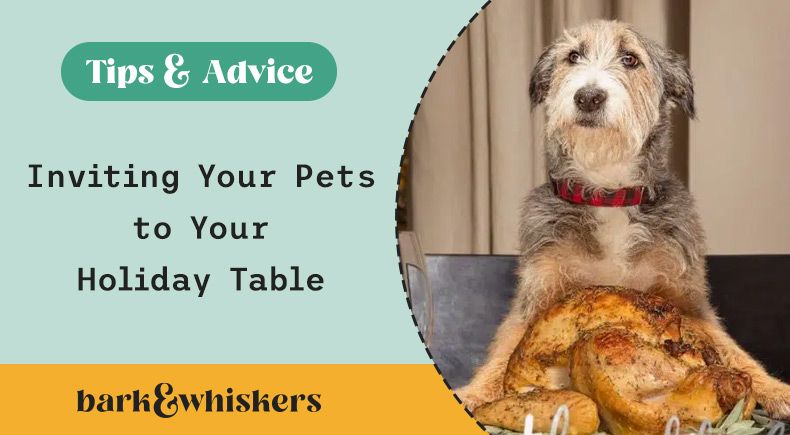 inviting your pets to your holiday table
