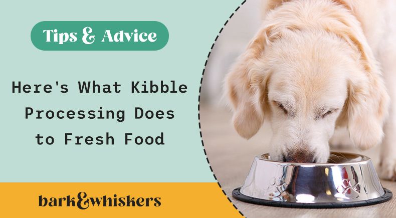 kibble processing