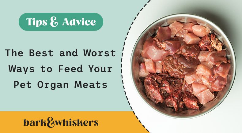 organ meats for pets
