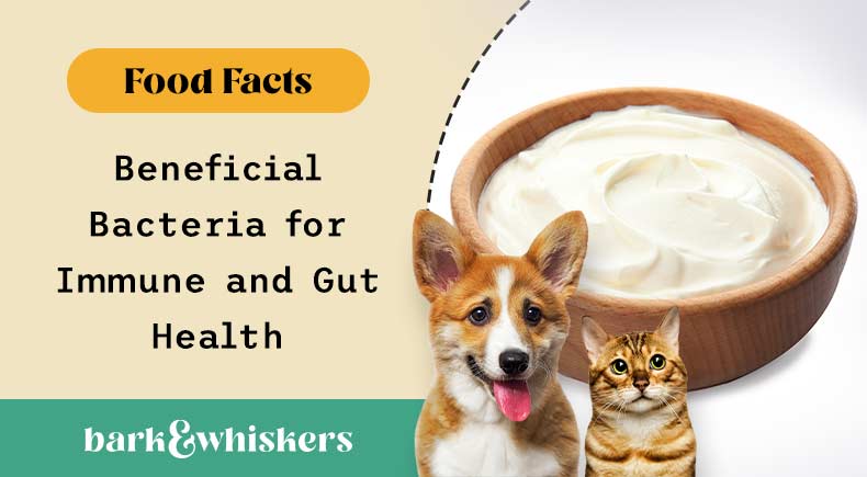 how do probiotics benefit your pets? 