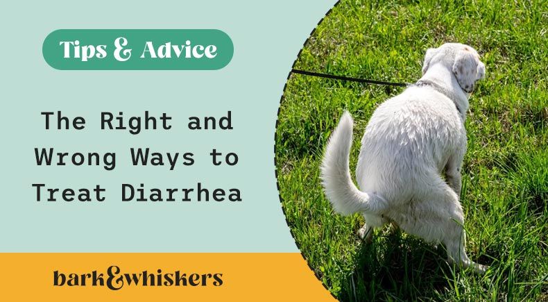 the right and wrong ways to treat diarrhea