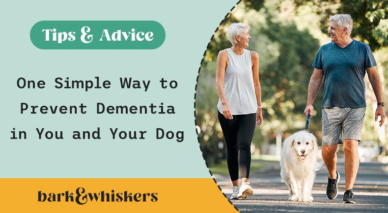 dementia prevention