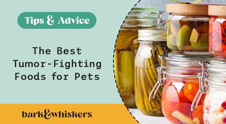 tumor-fighting foods for pets