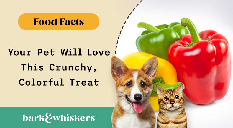 can you feed bell peppers to your pets