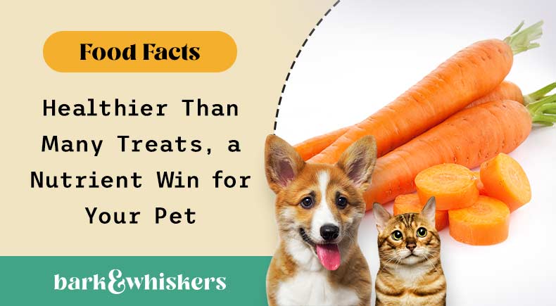 are carrots good for your pets