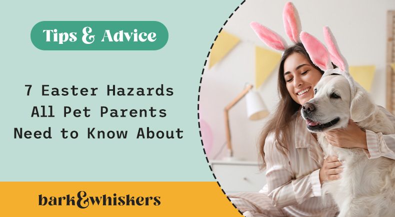 pet easter hazards