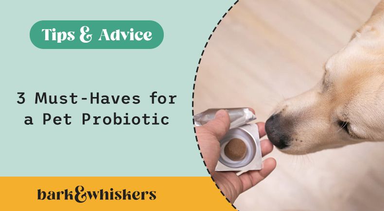 probiotics for pets