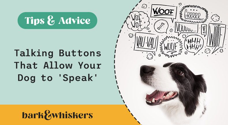 talking dog buttons
