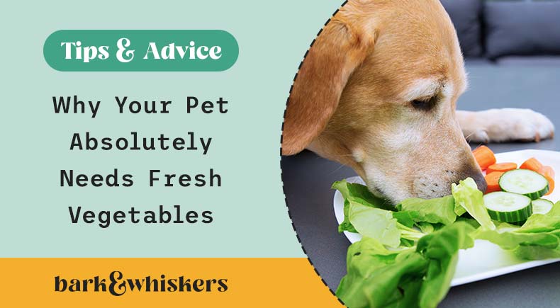 vegetables for dogs