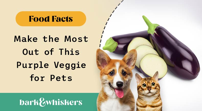 can you feed eggplant to your pet