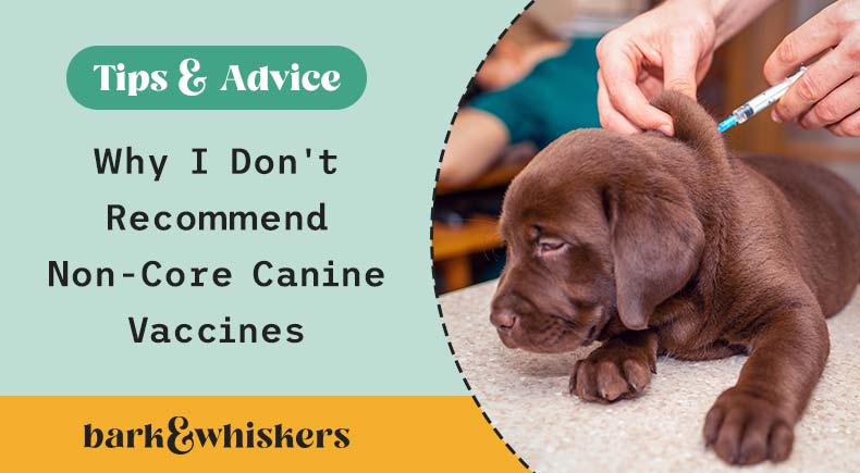 canine vaccination